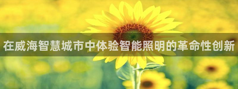 云顶国际KTV商务会所(新华街南段店)简介