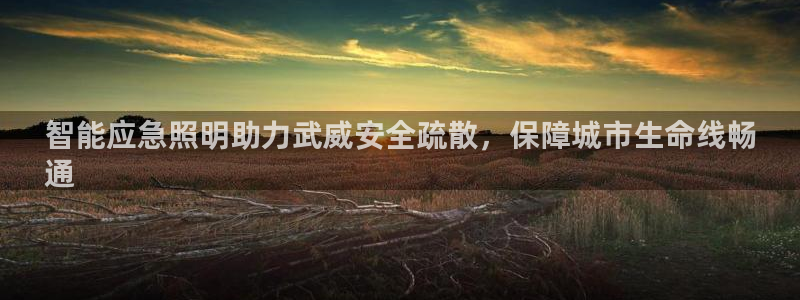 云顶国际部HKDSE