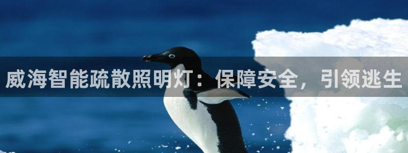 云顶集团有限公司简介图片