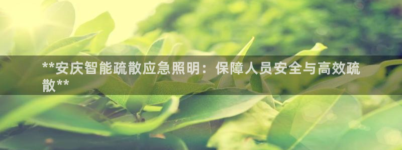 云顶mg网址