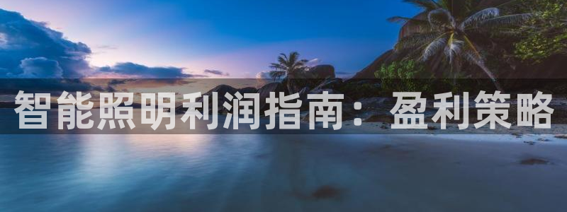 云顶国际是做什么的