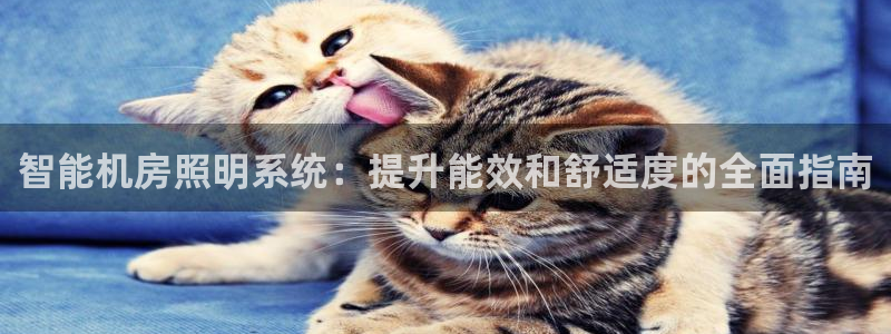 云顶国际app官方下载