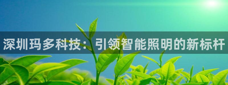 云顶集团游戏app月底为什么赢不到钱了