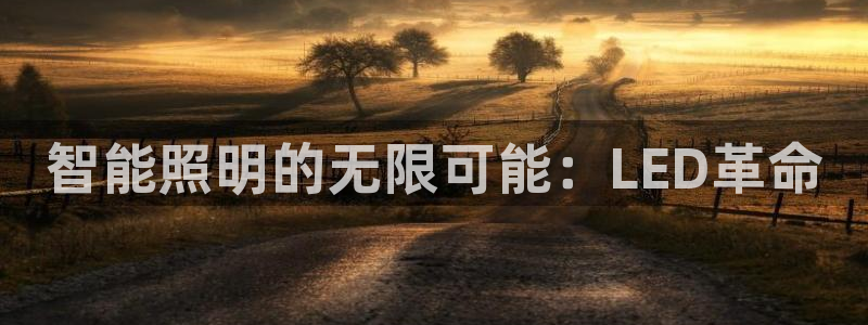 云顶国际软装公司怎么样啊