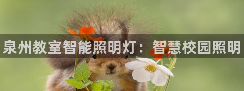 云顶国际服修改不了传说装备