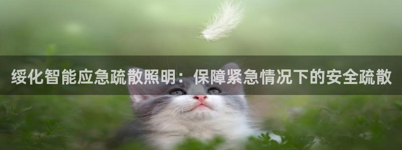 云顶国际app免费下载