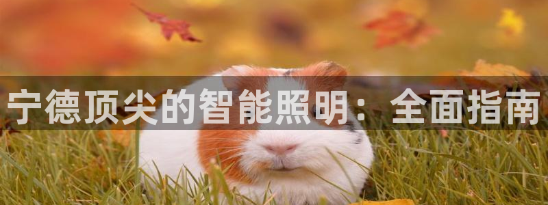 云顶国际App下载