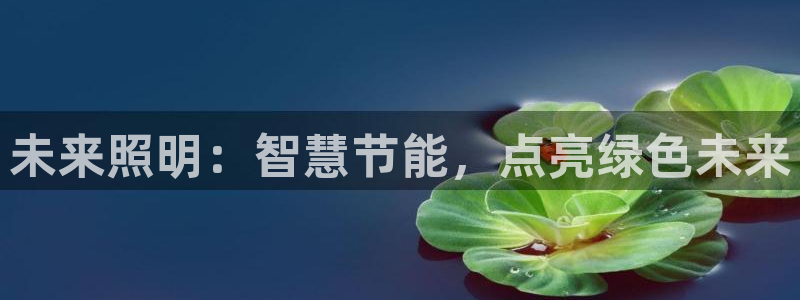 云顶集团林志华简介