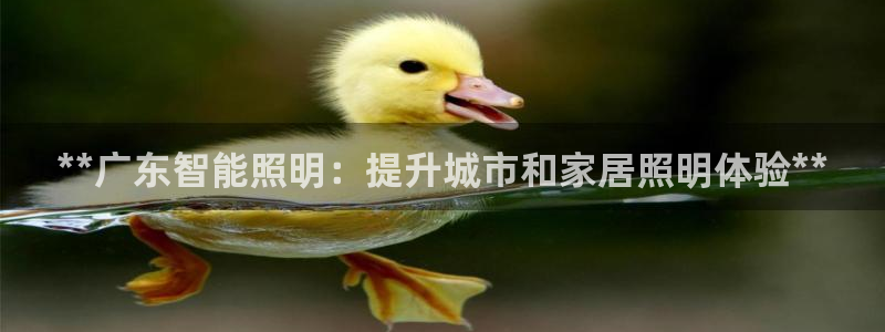 云顶国际中国官方网站入口
