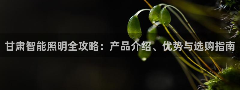 云顶国际官网