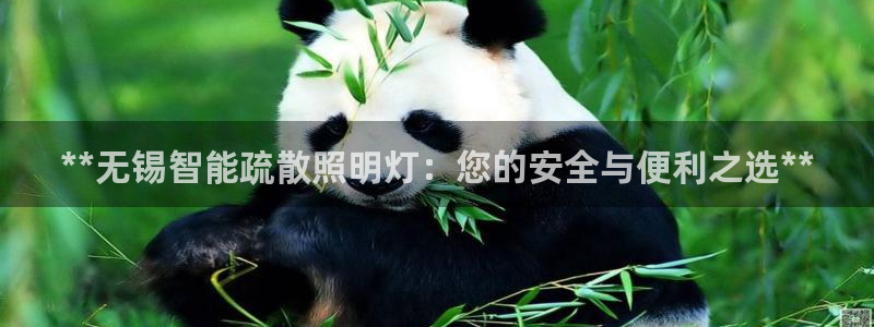云顶集团简介