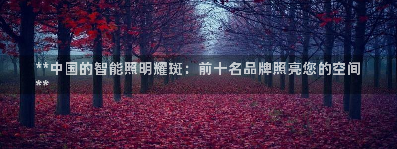 云顶国际电子游戏