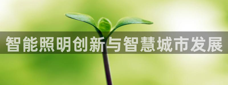 云顶国际麻将胡了多少张牌