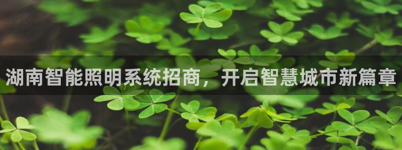 云顶国际服下载