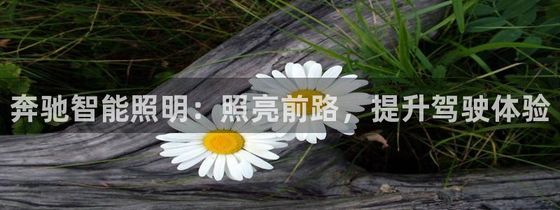 云顶国际官方网