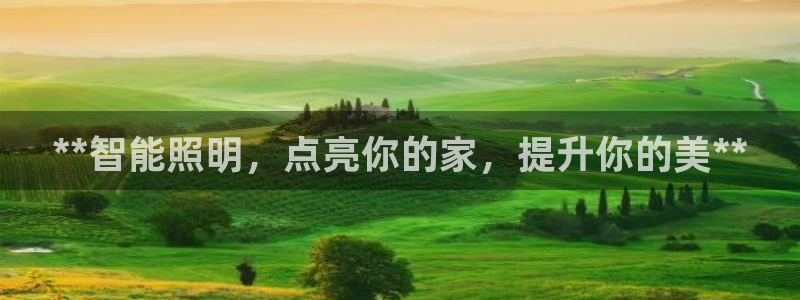 云顶国际商务会所怎么样