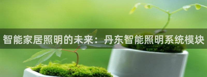 云顶国际停车费