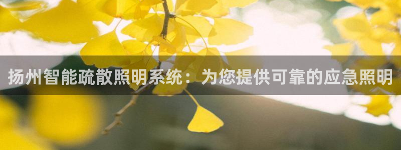 云顶8888