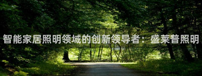 云顶集团公司董事长是谁