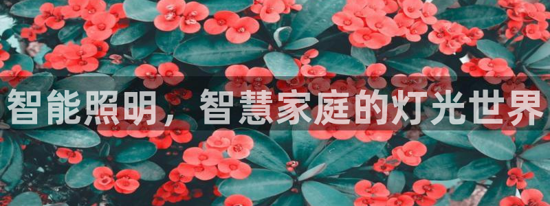 云顶国际app官方下载安卓