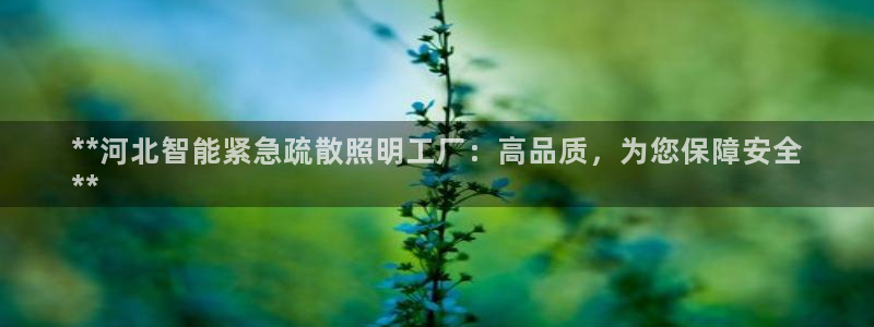 云顶国际酒店位置地图
