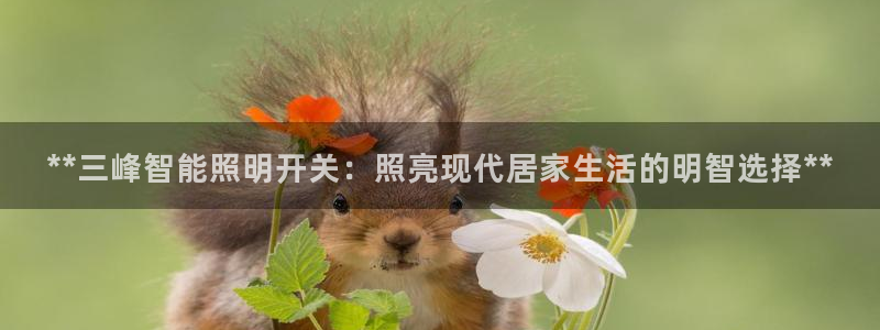 云顶国际公馆二手房出售
