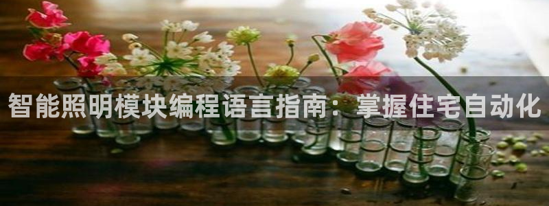 云顶国际线上平台