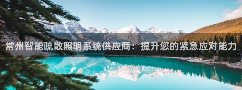 云顶国际服最新版