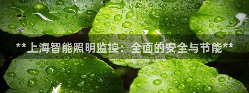 云顶国际商业广场 停车
