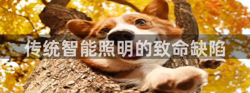 云顶国际缆车起点在哪里啊
