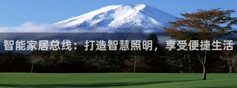 云顶国际