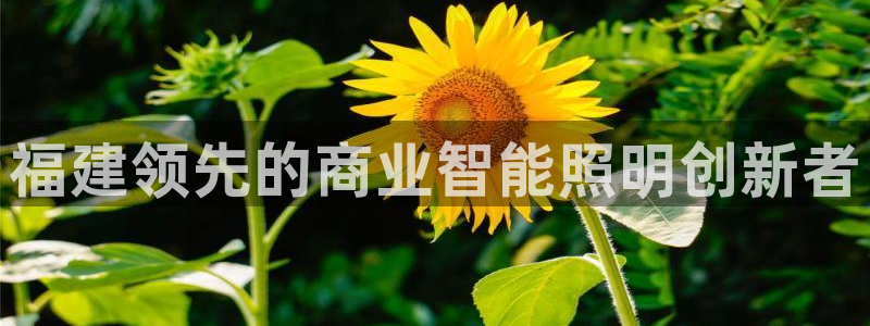中国云顶控股集团
