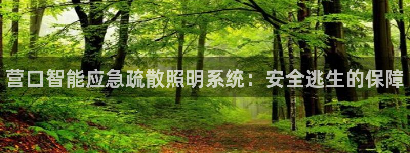 云顶国际游戏平台app