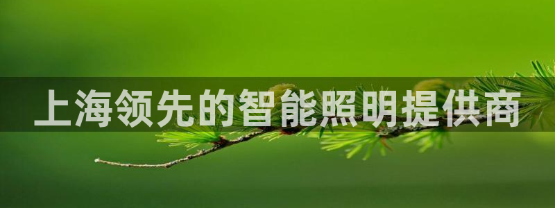 云顶国际服阵容