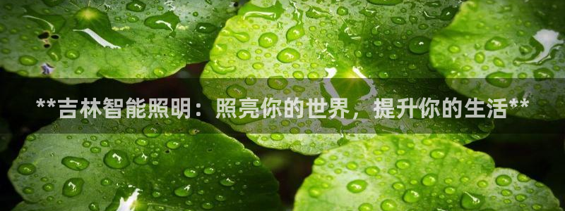 云顶国际大酒店位于哪里