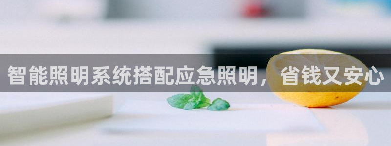 云顶国际是做什么的