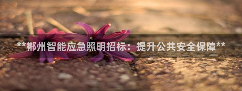 云顶国际服什么时候更新s108