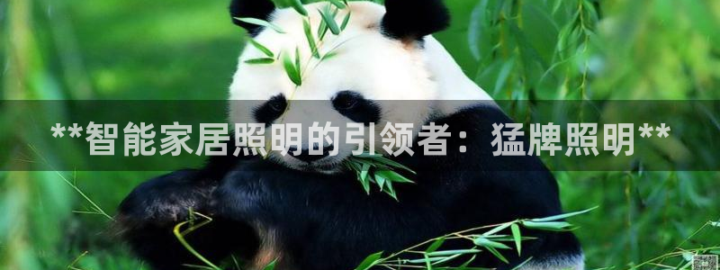 云顶国际前台电话号码