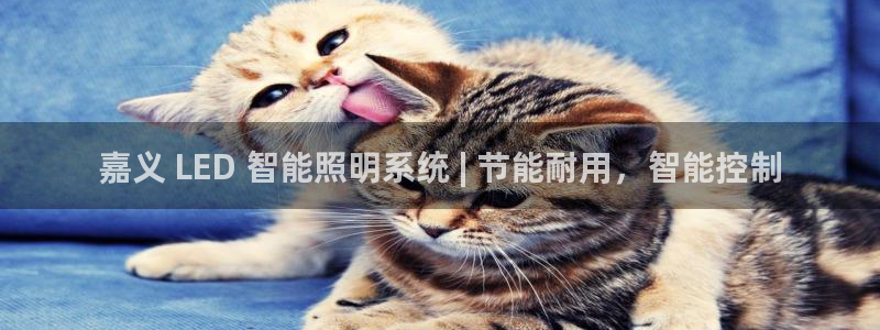 云顶国际测试服怎么进