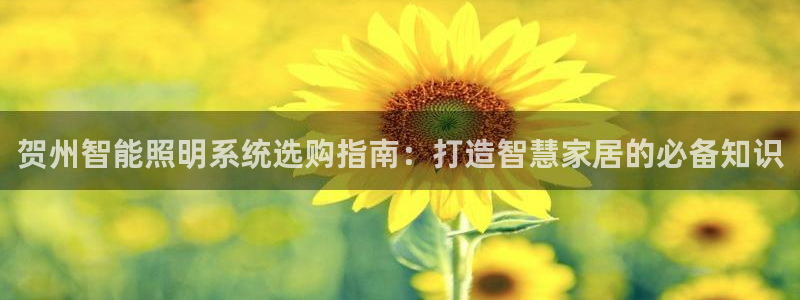 云顶国际酒店电话多少