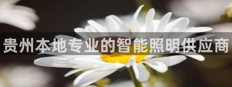 云顶国际公馆有取暖吗