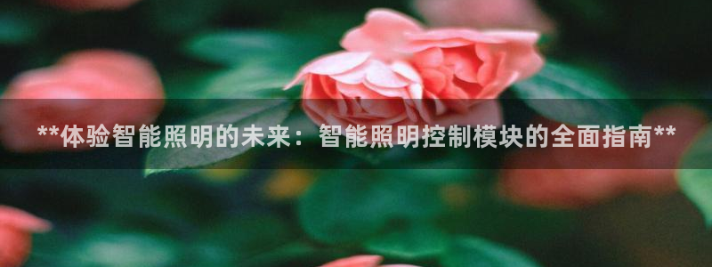云顶国际旅行社官网