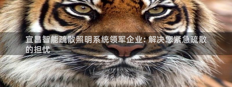 谁知道云顶的网站是多少