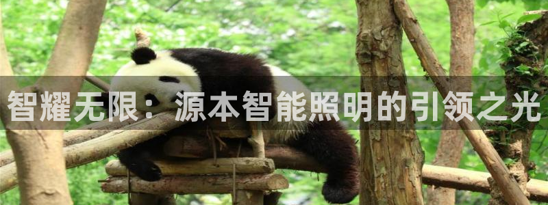 云顶国际黑网不出款了
