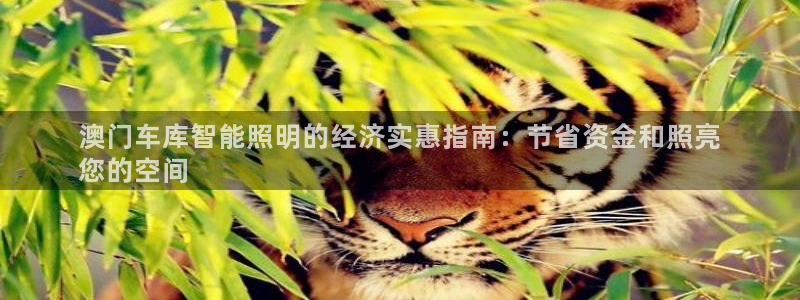 云顶国际是做什么的公司