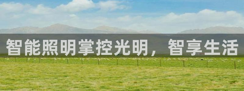 云顶国际提现不到账怎么办