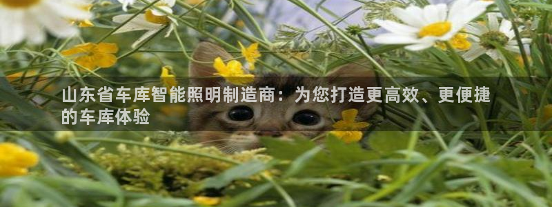 云顶集团有限公司简介电话