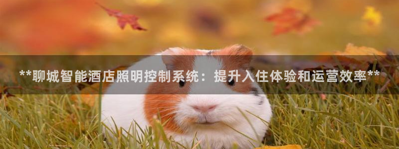 云顶国际官网唯一官方网站下载