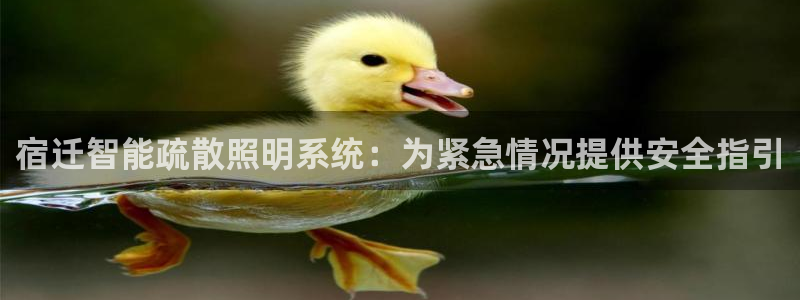 云顶国际服服务端错误