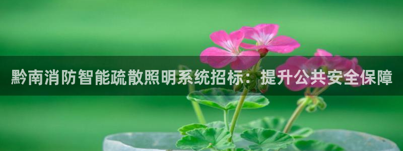 云顶集团 林